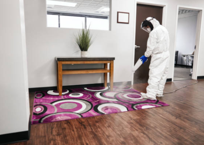 Carpet cleaning Melbourne